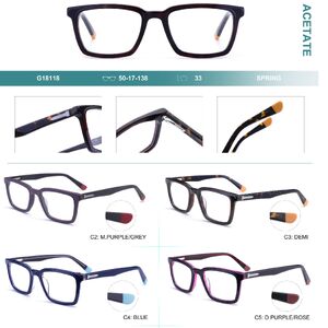 Plastic frames for glasses, acetate material Big City G18118