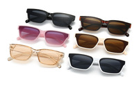 Sunglasses Elit modern 902