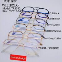 Metal + TR90 ultrathin women's frames with spring hinges Wilibolo TR3042