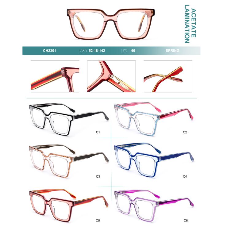 Plastic frames for glasses, acetate lamination with spring hinges Big City CH2301