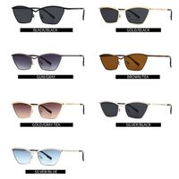 Metal retro sunglasses Elit 2594-EL