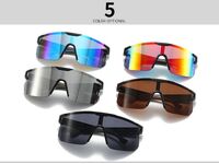 Plastic one-piece sunglasses Elit 2330-EL