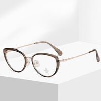 Combined frame (metal + TR90) with Blue Ray Cut protection lenses MAMO M2883