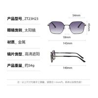Metal retro sunglasses Elit ZT23H23-EL