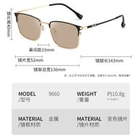 Photochromic glasses with blue light and UV protection 9660-GT