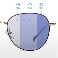 Photochromic glasses with blue light and UV protection 9641-2-GT