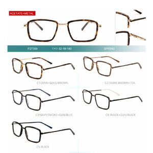 Combined frames for glasses, acetate + metal Big City, with spring hinges P27309
