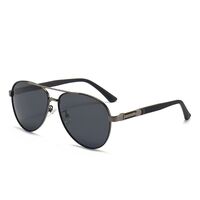 Polarized metal sunglasses with UV400 protection 2956-2-GT