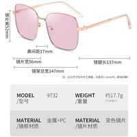 Photochromic glasses with blue light and UV protection 9732-GT