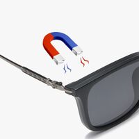 TR90/PC plastic frame + 5 polarized sun protection magnet clip-on set + leather bag El Dorado EL2378