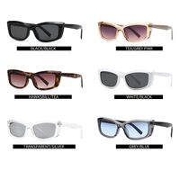 Plastic retro square sunglasses Elit 658-EL