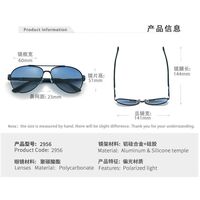 Polarized metal sunglasses with UV400 protection 2956-2-GT