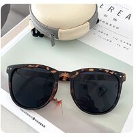Plastic folding sunglasses KY315-2太阳镜