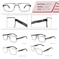 Оправа металлическая LE6257-DA