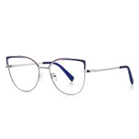 Metal Blue Blocker frames for glasses MORE 3103
