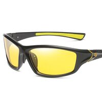 Polarized plastic sunglasses with UV400 protection D120-GT