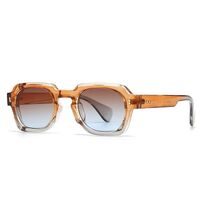Plastic retro sunglasses Elit 6056-EL