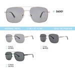 Metal frames polarized sunglasses S6001