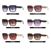 Plastic sunglasses Elit 9106-EL