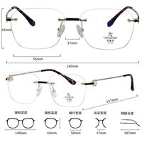 Metal frame with Blue Ray Cut protection lenses MAMO F99103