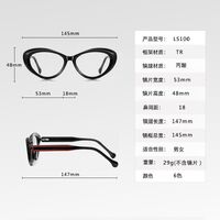 Plastic TR90 frame for glasses with UV protection More LS100