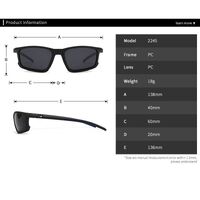 Plastic sunglasses for men Elit 2245-EL