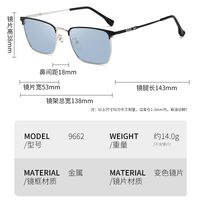 Photochromic glasses with blue light and UV protection 9662-GT