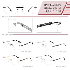 Оправа металлическая безободковая на винтах мужская с флексом LE6195-DA