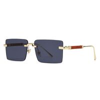 Metal rimless square retro sunglasses Elit 3030-EL