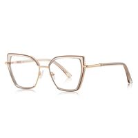 Metal + TR90 plastic Blue Blocker glasses frame for women with UV and blue light protection lenses More FCS3154