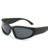 Polarized plastic sunglasses with UV400 protection 2972-GT