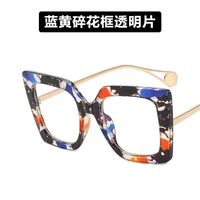 Plastic glasses with blue light protection for women 1916-PN