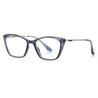 Plastic TR90 frame for glasses with UV protection More LS208