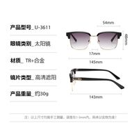 Plastic + metal retro sunglasses Elit 3611-EL