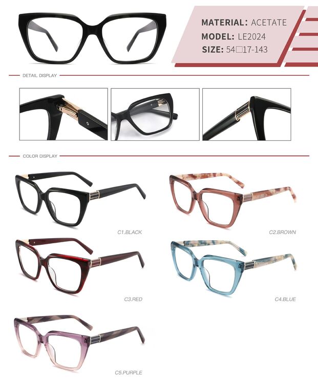 Plastic acetate frame with spring hinges LE2024-DA