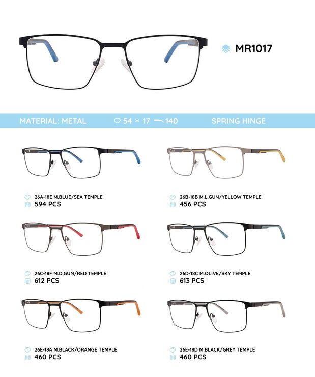 Metal frame with TR-90 temples with spring hinges MR1017