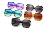 Sunglasses Elit in retro style 2104