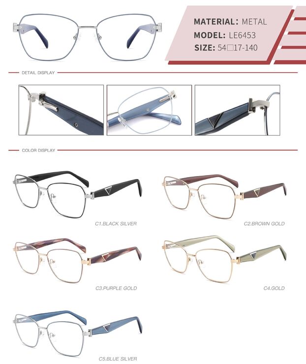 Оправа металлическая с флексом LE6453-DA