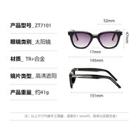 Plastic + metal square sunglasses for men Elit ZT7101-EL