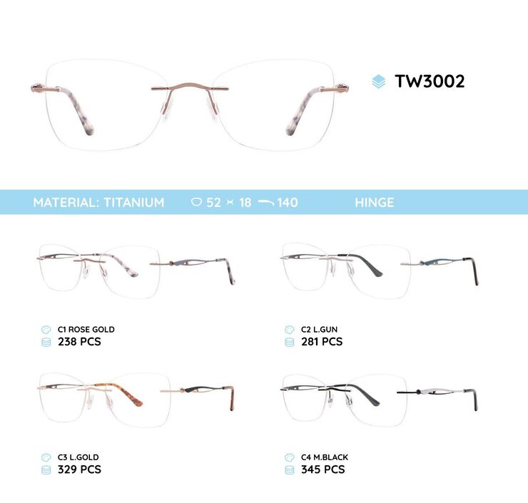 Titanium frames TW3002