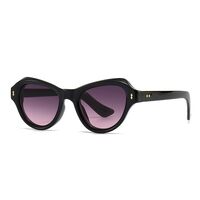 Plastic butterfly-shaped sunglasses for women Elit 6032-EL