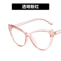 Plastic glasses with blue light protection for women 2495-PN