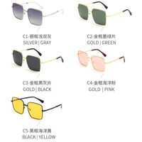 Portable polarized metal sunglasses with UV400 protection 2963-GT