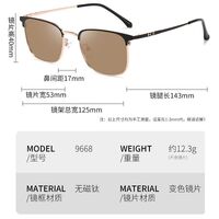 Photochromic glasses with blue light and UV protection 9668-GT