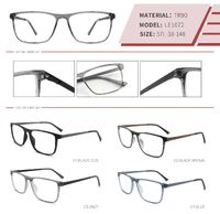 Plastic TR90 frame with spring hinges LE1072-DA