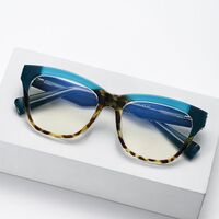 Оправа пластиковая с линзами с защитой от синего света, с флексом Elit 5737-EL