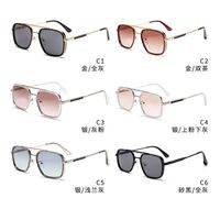 Plastic + metal retro sunglasses Elit 60-H2436-EL