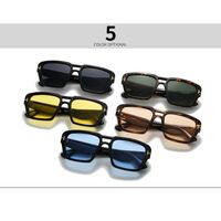 Plastic sunglasses retro style Elit LH185-EL