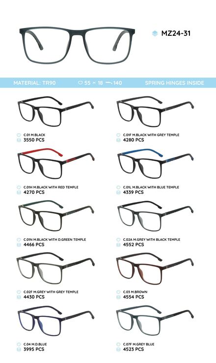TR-90 plastic frames for glasses, with spring hinges MZ24-31