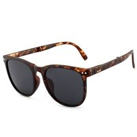 Plastic portable sunglasses KY315-3焦下